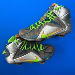 Size 11 - Nike LeBron 12 Trillion Dollar Man 2014
